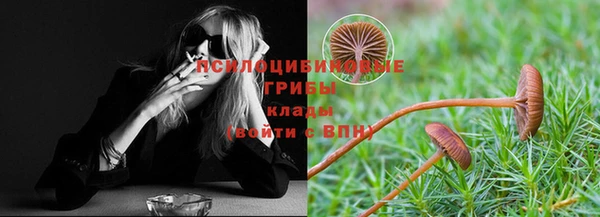 прущая мука Бородино