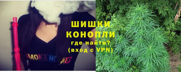 спиды Богданович