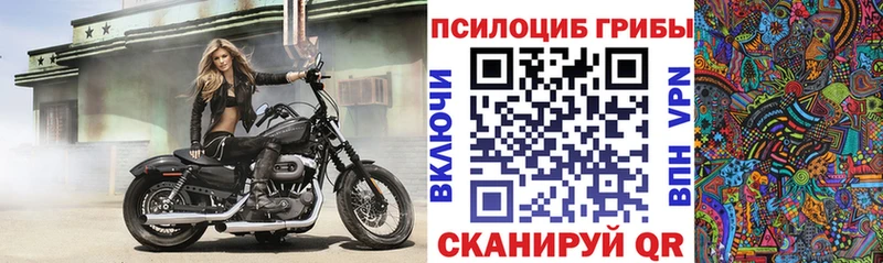 Псилоцибиновые грибы Psilocybine cubensis  Октябрьский 